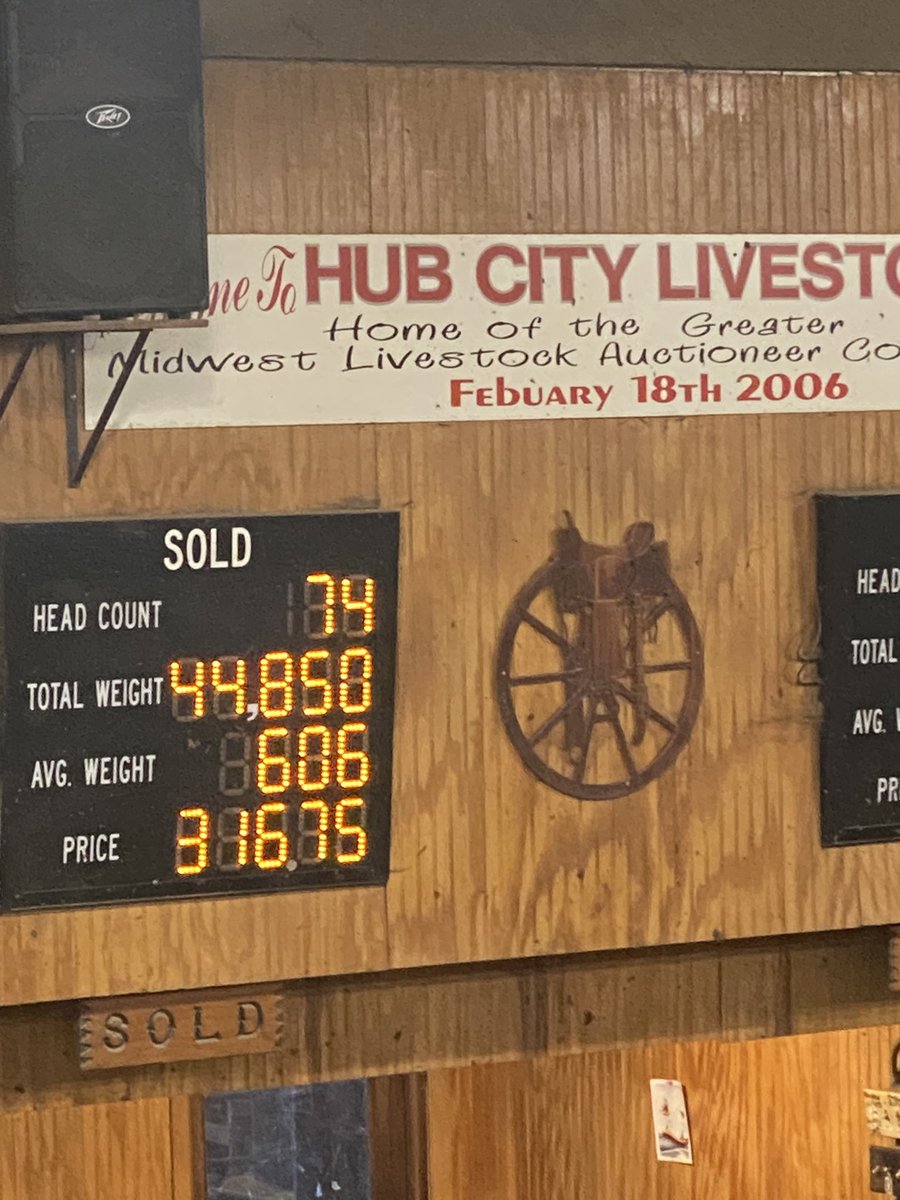02/21/24   Good market on black steers