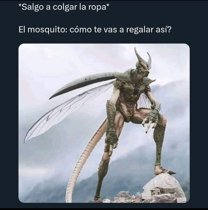 elisssmori's tweet photo. Vi uno tomando off del pico
#mosquitos https://t.co/QG1EVISIiS