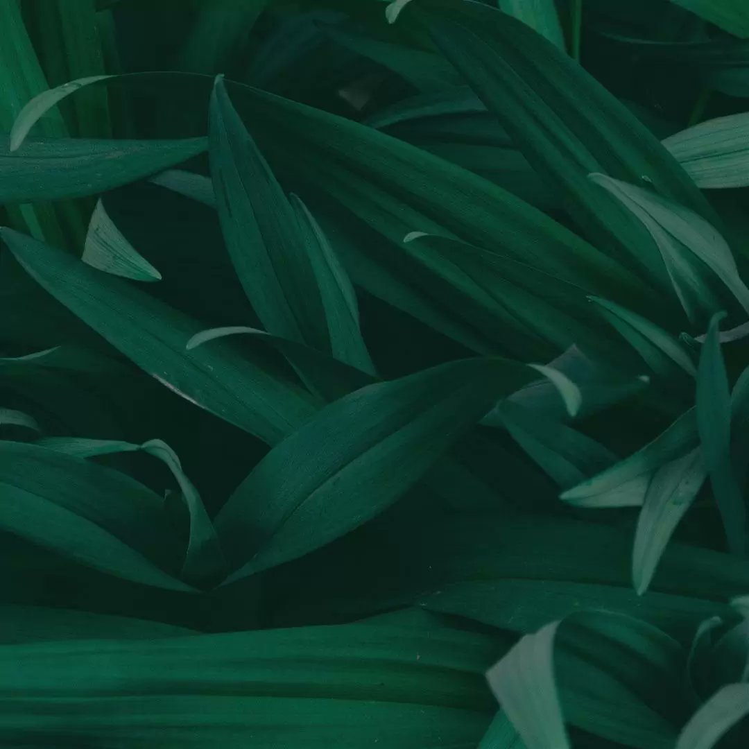 croftgroup's tweet photo. Tax Season is Coming … are you ready?

https://t.co/g9oQfP24Ub https://t.co/MWiazBMzJ9