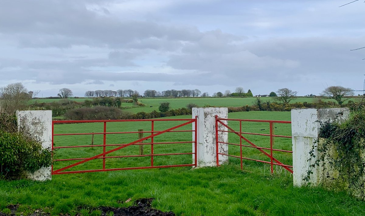 Passed by a Farm with some fine Red Gates everywhere 🥰