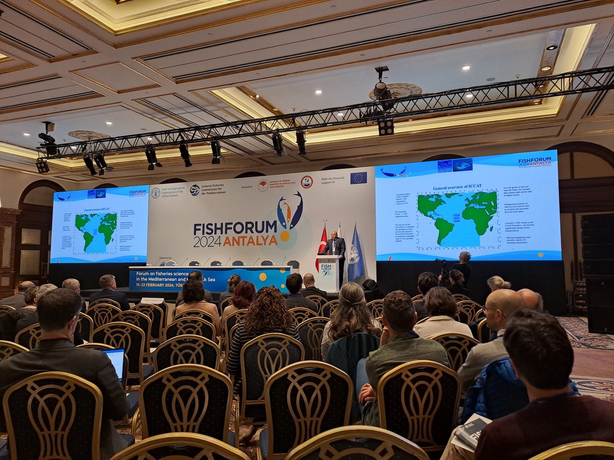 SGorjanc's tweet photo. Another full day at #FishForum2024, starting with @ICCAT experiences on #EAFM, before focussing on integrated #fisheries management and the role of #MSP in both #conservation and fisheries outcomes! Also a very cool side event by @MedPAN on success stories from #SSF in #MPAs 🦈 https://t.co/jreXGALkY6