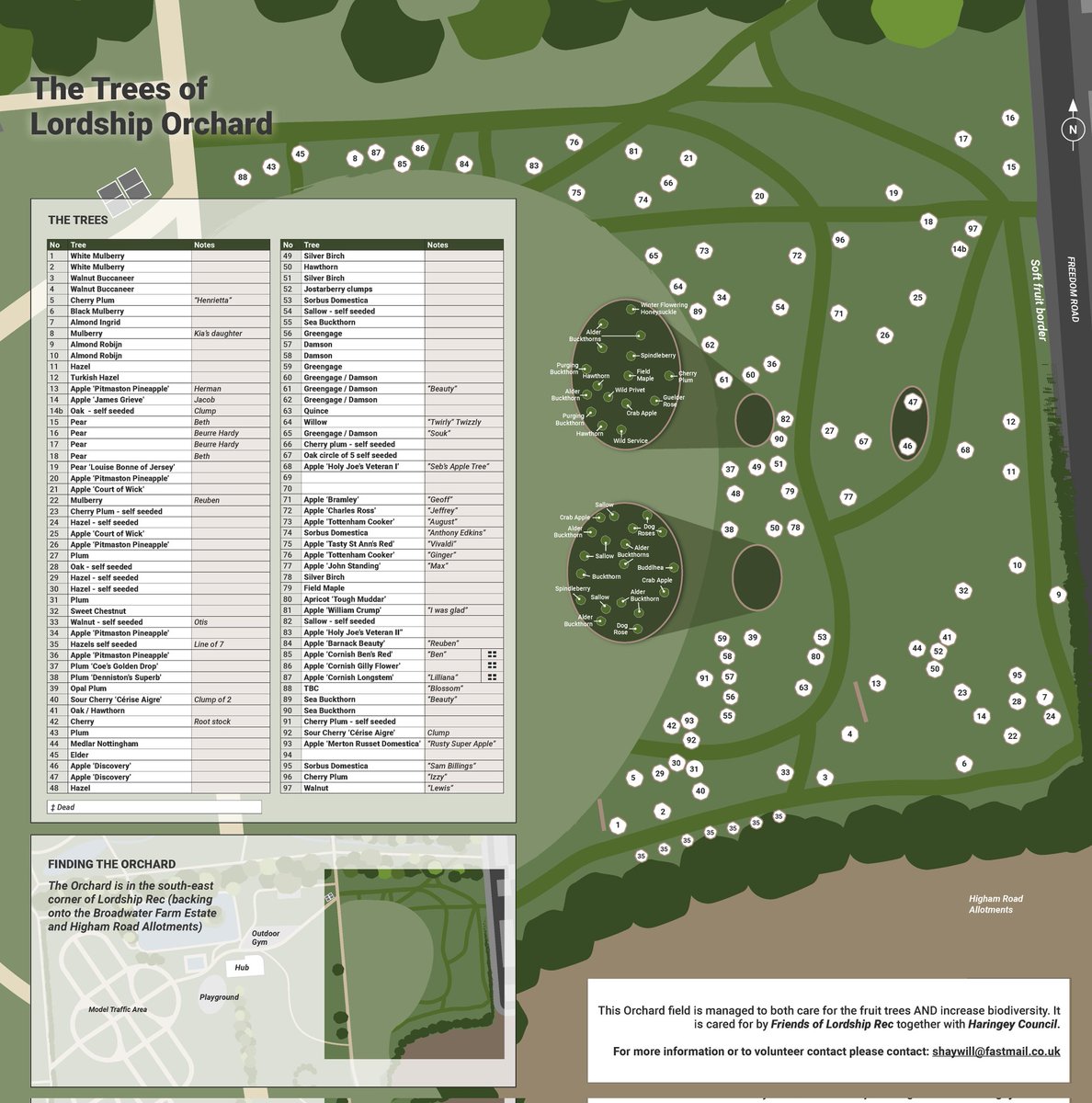 The Friends of Lordship Rec now have a new map which shows you the position and name of trees in the Lordship Rec Orchard and main field. It is on the Lordship Rec website
lordshiprec.org.uk/trees-of-lords…
@Lordshiphub <a href="/TottenhamTrees/">TottenhamTrees</a>