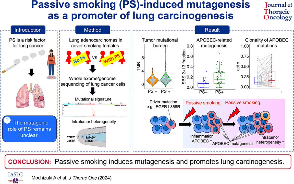 'Passive smoking-induced mutagenesis as a promoter of lung carcinogenesis'
jto.org/article/S1556-…