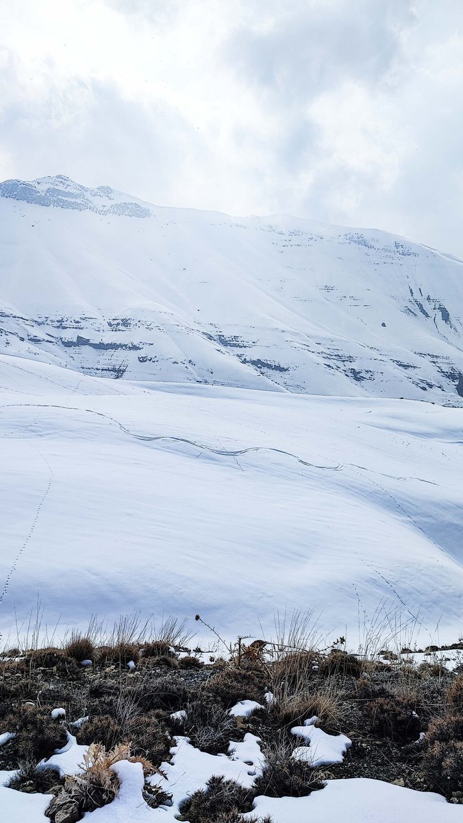 My snowy day 🏔️❄️❄️