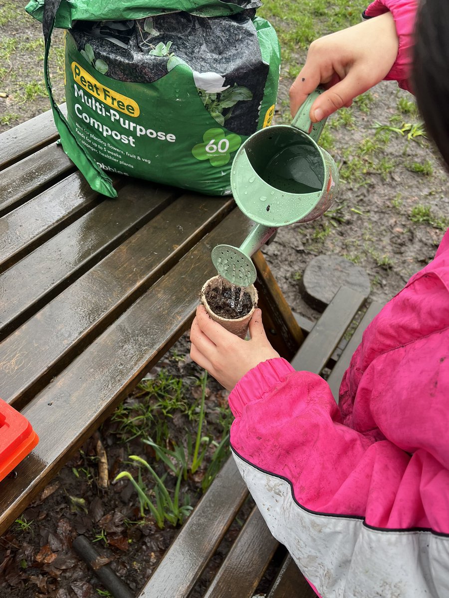 Forest School ACE tweet media