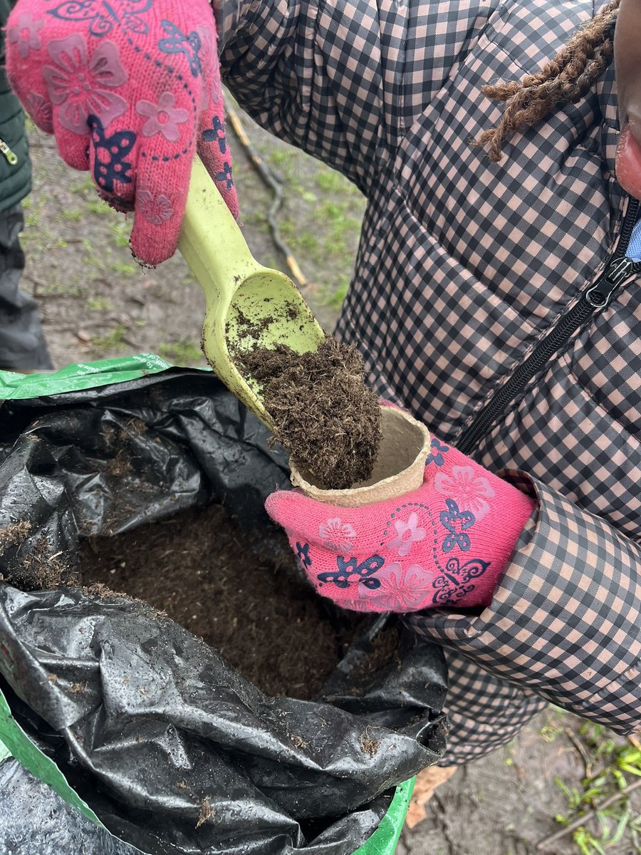 Forest School ACE tweet media