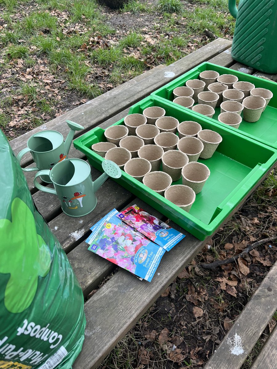 Forest School ACE tweet media