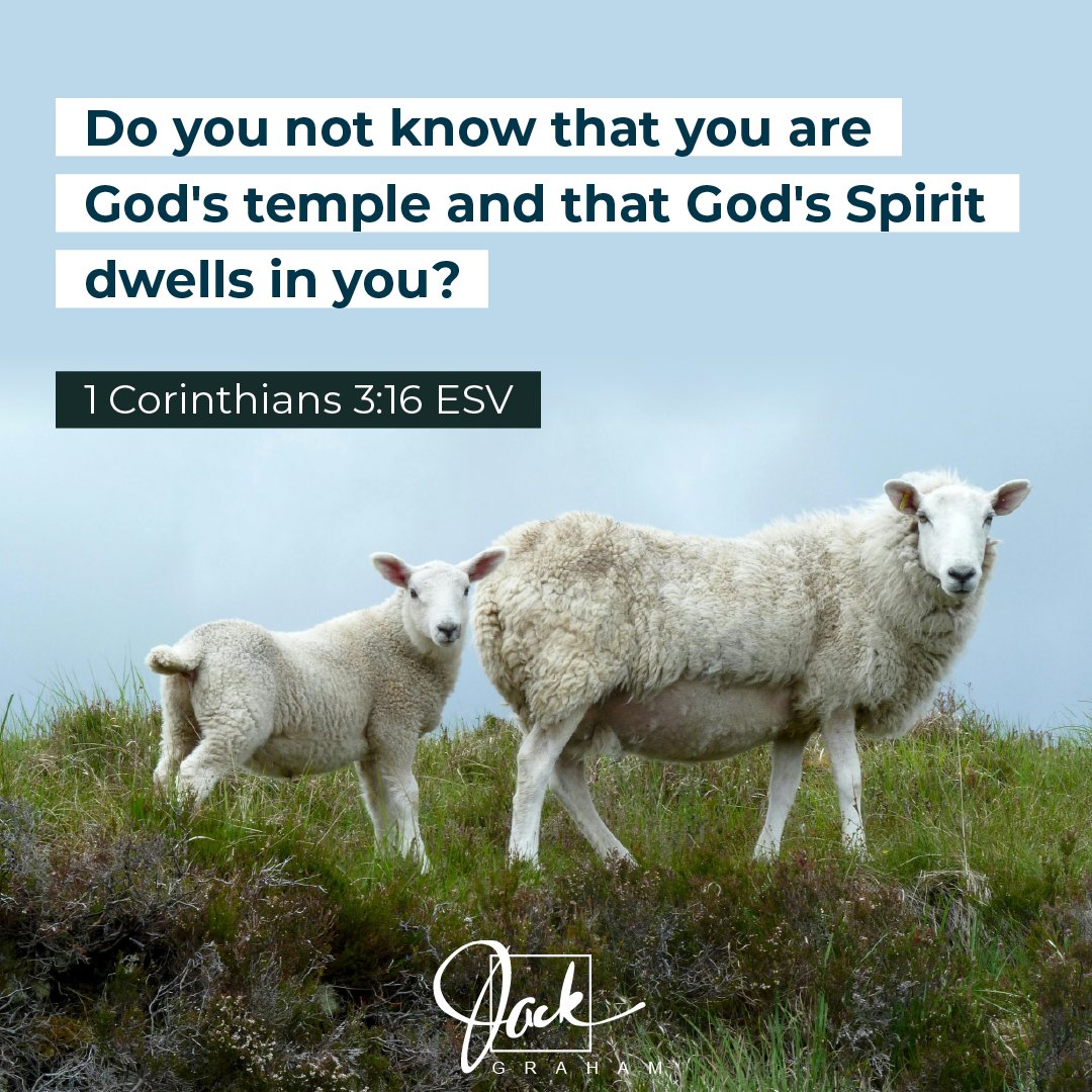 PPTMinistries's tweet photo. As you navigate the world, remember that you carry the presence of God within you.
#faith #ministry #devotion #praise #jesussaves #grace #amen #jackgraham https://t.co/utaXCeeYGc