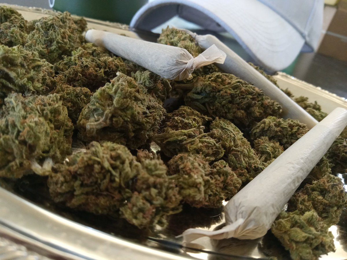 CannaMindSee420's tweet photo. When Being UnWell Is Sick!
Even Cannas Need To ReCharge 😋
#DazeOff
#SickDaze
🏖 🤧 🐉 🤧 🏖 https://t.co/sV0OAZvdDV