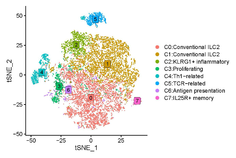 CBR_UBC's tweet photo. Science Share! In the latest study by the Jefferies lab, they delve into the intricate world of type-2 innate lymphoid cells (ILC2), specifically exploring their plasticity during tumour expansion.🧬🌐 

#science #research #sharingscience

https://t.co/x109muRYqI https://t.co/bJSWWIcmkp
