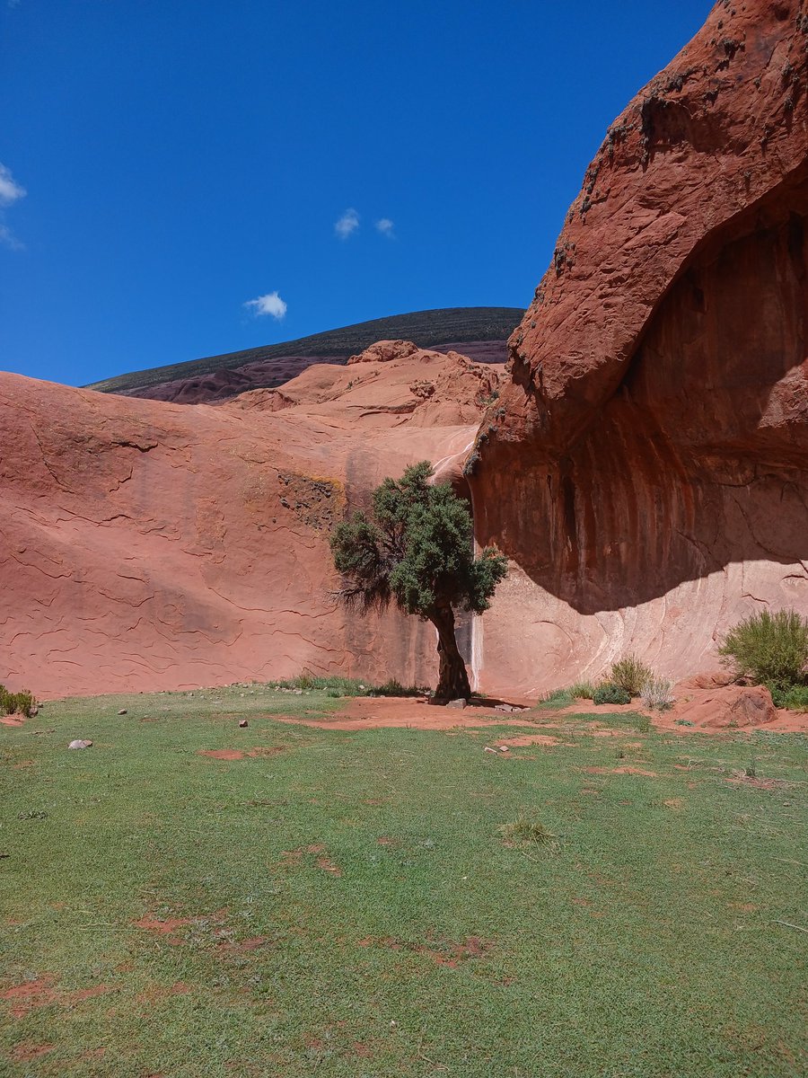 Inca Cueva, Jujuy 📍