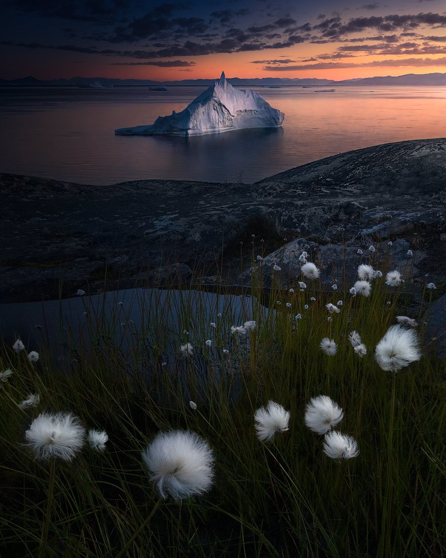 Isabella Tabacchi tweet media