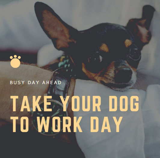 MedCom_Solution's tweet photo. Wellness Wednesday: Here is an idea to help decrease stress and anxiety in the office. https://t.co/oy4gogaxFv
Therapy Animals - Invite therapy animals to the office #wellnesswednesday #therapydogs
✔ Mental Well-Being ✔ Social Well-Being https://t.co/WxZgF6UcTC