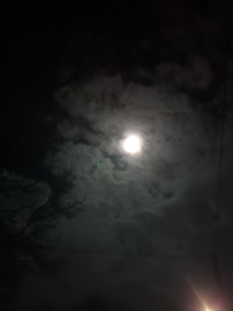 WildersLiz's tweet photo. #Day52 #Day1147
#100daysofwalking 
 #round4crew @NTBreakfast #MentalHealthAwareness  #Kildare
Back wearing the 🧤 tonight, definitely a change in the weather again https://t.co/LrhWOw5wW3