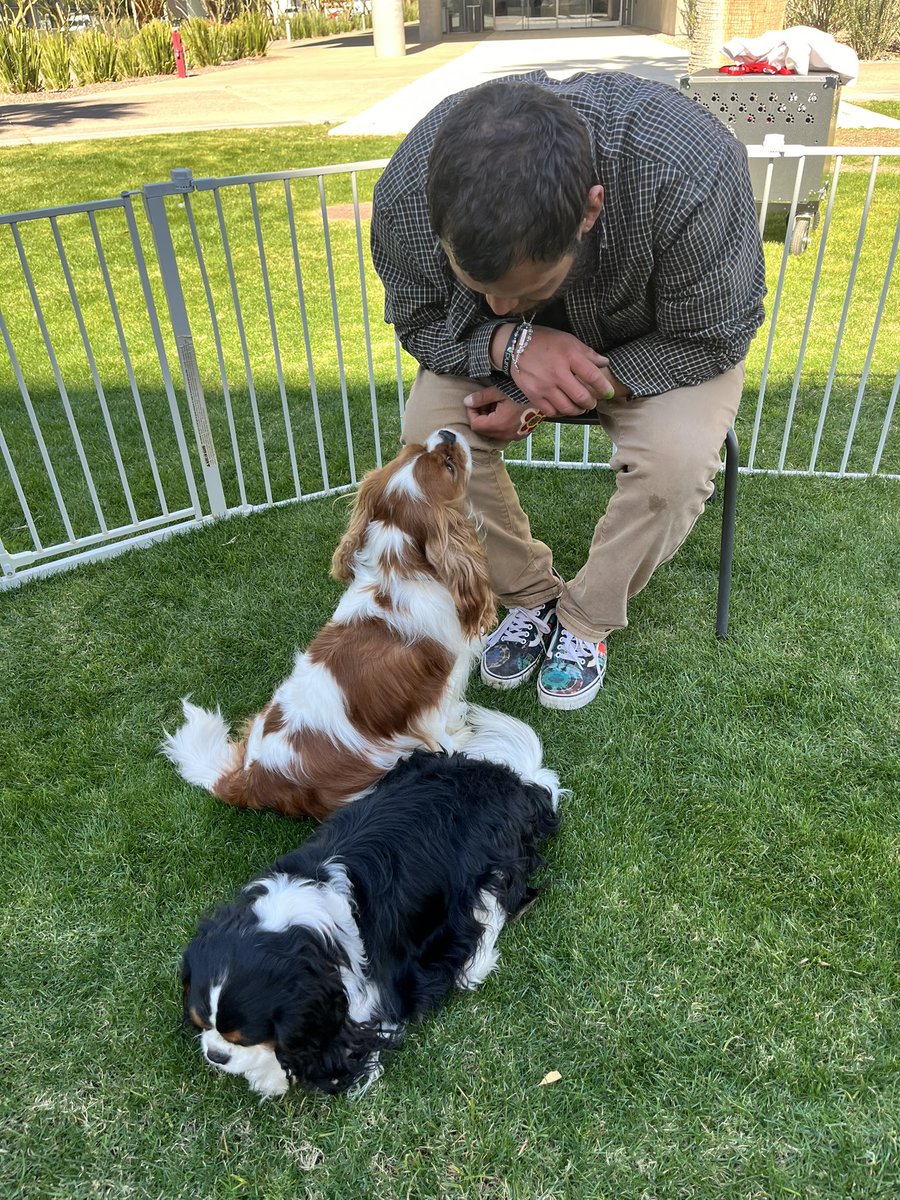 Isabel Strouse tweet media