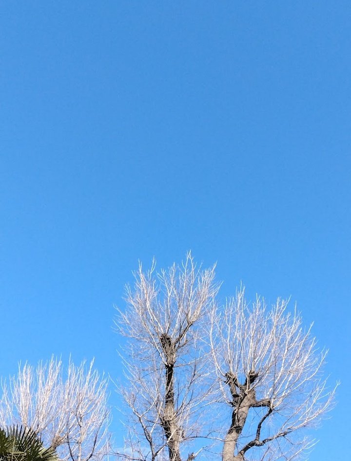 m6bCHkTCoGyWX6's tweet image. 猫の日！
今朝も雨なので
過去の写真を探してみたけど
2月後半はだいたい晴れの日ばかり
今年は色々狂ってるなぁ
写真は2年前の今日の空
 #カコソラ
 #2022年2月22日