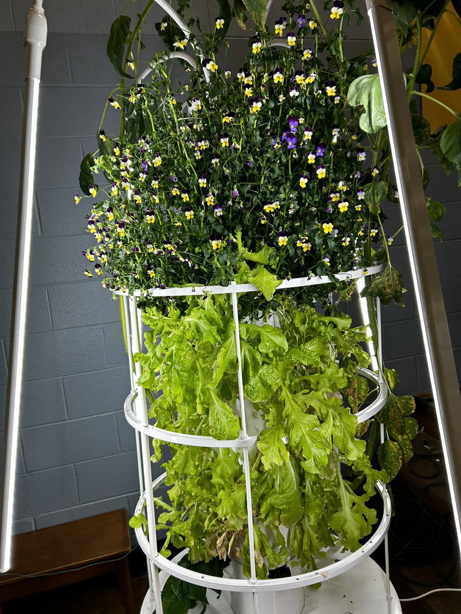 sumnerstem's tweet photo. Future Master Gardeners might be in the future of these students at Indian Lake ES STEM School. Their Grow Gardens (with funds through TSIN) are getting me excited about spring coming. @theILEsteam @theTSIN @SumnerCountyCTE #SumnerSTEM #SumnerAchieves @GovBillLee https://t.co/SvY1oxL4ge