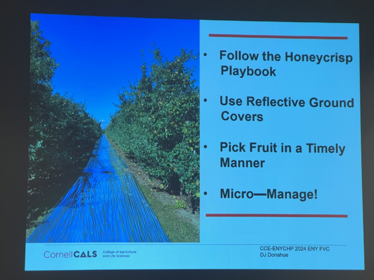 “Honeycrisp on life support in HV.” Unless?