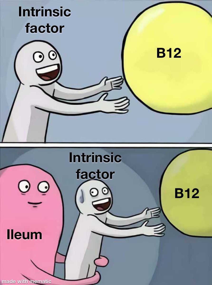 drkeithsiau's tweet photo. B12 absorption 😅 https://t.co/Obu6bd17N8
