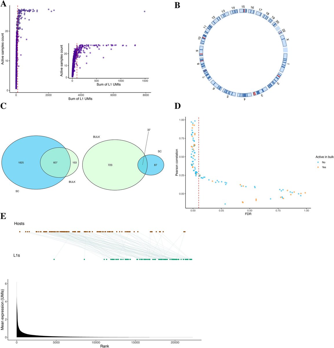 Kauppi Lab (@labkauppi) on Twitter photo 🔬 Our latest #research, "Locus-specific LINE-1 expression in clinical ovarian cancer specimens at the single-cell level," is now available online in Scientific Reports ! 🎉<a href="/SpringerNature/">Springer Nature</a> #ovariancancer
rdcu.be/dzffP 🔬 Our latest #research, "Locus-specific LINE-1 expression in clinical ovarian cancer specimens at the single-cell level," is now available online in Scientific Reports ! 🎉<a href="/SpringerNature/">Springer Nature</a> #ovariancancer
rdcu.be/dzffP