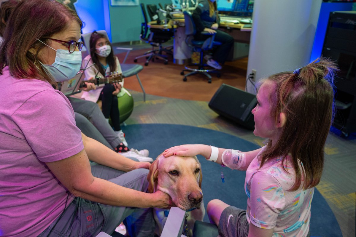 CincyChildrens's tweet photo. A few of our patients got to spend time recently with Grover the facility dog at Dog Tales at #SeacrestStudios while they sang songs and listened to stories! Our facility dogs help patients get emotional support from trained therapy dogs.
#TherapyDogs #RyanFoundation https://t.co/sSmxYXeUPz