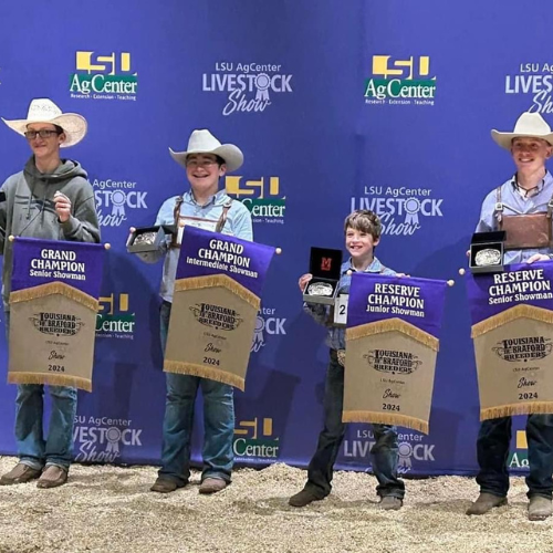 MLeeLSUAg1's tweet photo. The 89th Annual LSU AgCenter Livestock Show was a remarkable event. Thank you to everyone who invested so much into building the future of our youth and state! Let's keep #WinningForLouisiana together! 🐄🏆 https://t.co/xEmbxZYMUz