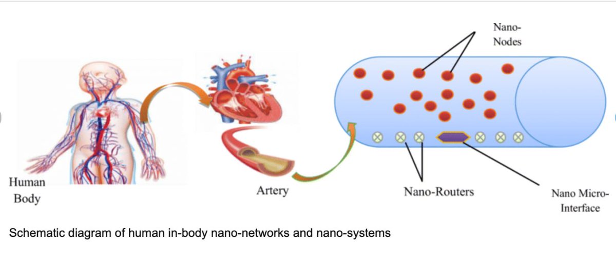 CorinneNokel's tweet image. A Nano-biosensors model with optimized bio-cyber communication system based on Internet of Bio-Nano Things for thrombosis prediction 

#BioCyberInterface 

#Nanosensors 

#Nanodevices                                                     

#MedicalBAN

tinyurl.com/4y75zxh3