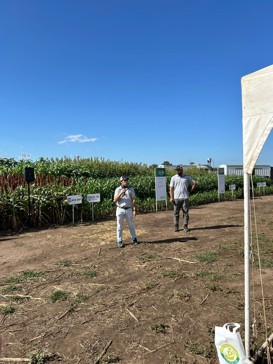 PGGWrightson_UY's tweet photo. Parte de nuestro equipo técnico comercial está en Rojas, Argentina, en una nueva edición de #ACAmpoAbierto de @ACAcoop recorriendo ensayos de maíz, soja y girasol.
También nos encontramos con @fermrozek 
¡Gracias ACA por una gran jornada! https://t.co/FJhWz6zkHA