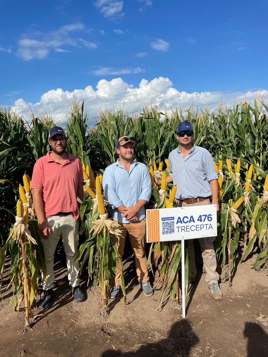 PGGWrightson_UY's tweet photo. Parte de nuestro equipo técnico comercial está en Rojas, Argentina, en una nueva edición de #ACAmpoAbierto de @ACAcoop recorriendo ensayos de maíz, soja y girasol.
También nos encontramos con @fermrozek 
¡Gracias ACA por una gran jornada! https://t.co/FJhWz6zkHA