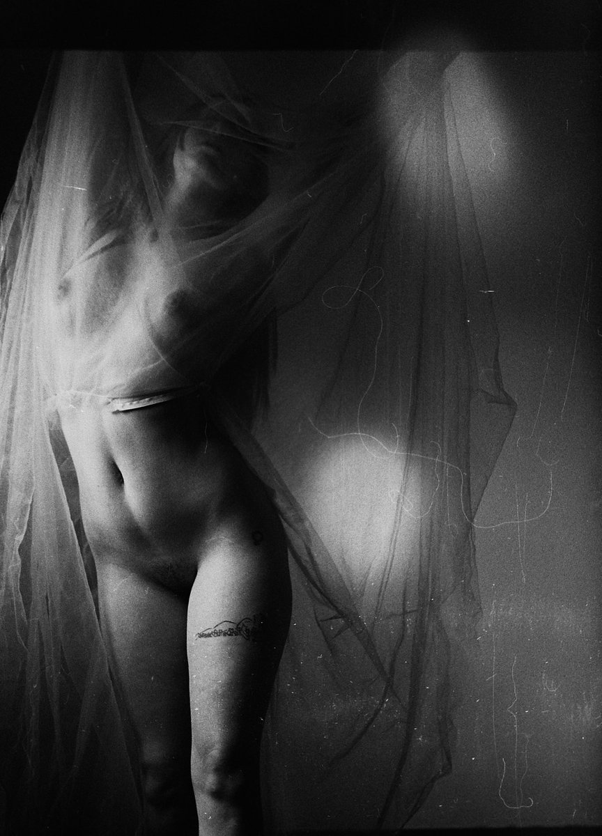 Katelynn M. Rogers tweet media