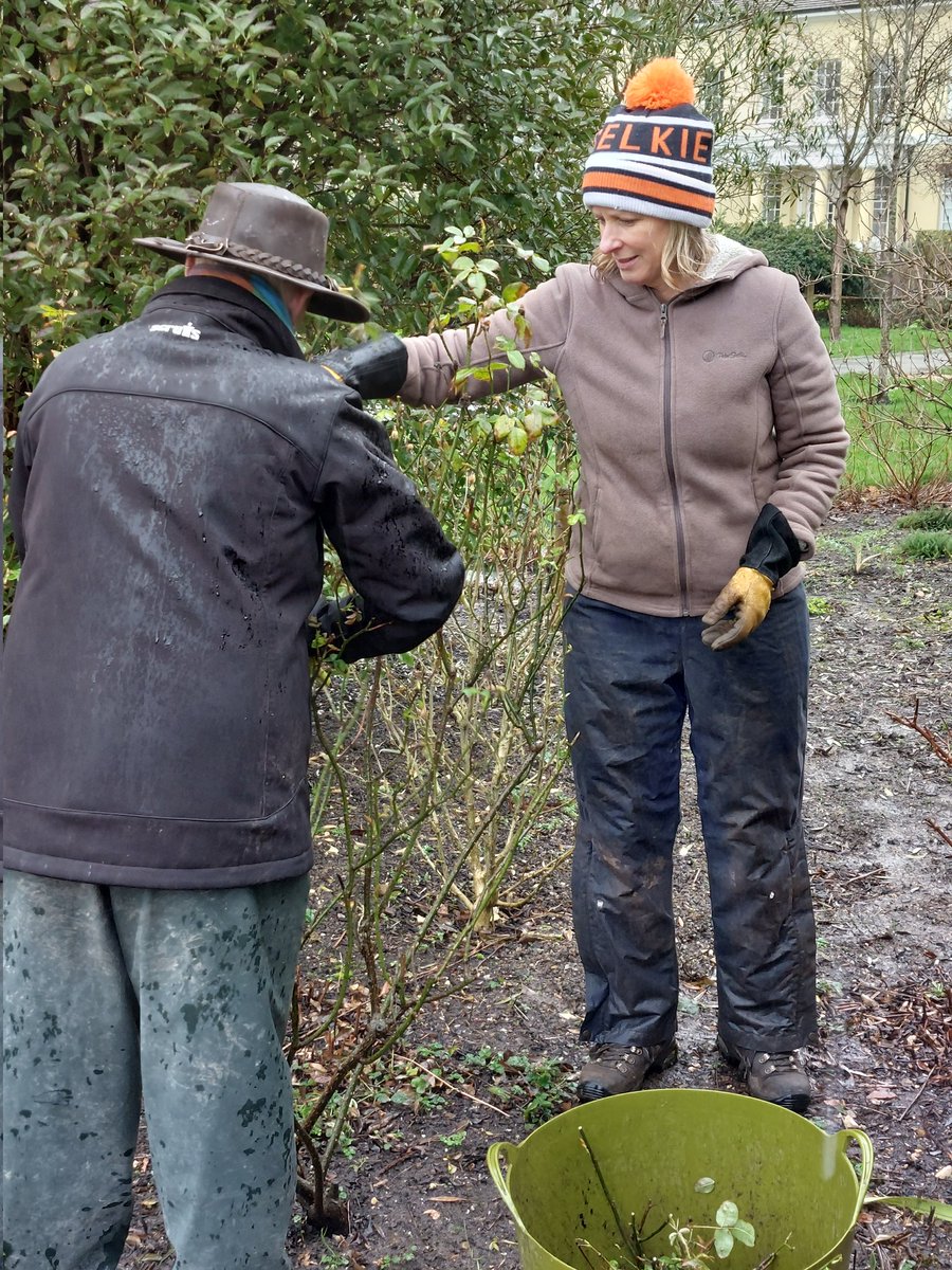 Hats off to hardy perennials weathering rain today in their quest for greater rose- pruning knowledge! Thx Jenny our pro. gardener for imparting skills; a perfect mix of theory+hot drinks vs hands-on pruning practice! sussexgardenschool.com #gardening #courses #Gardendesign