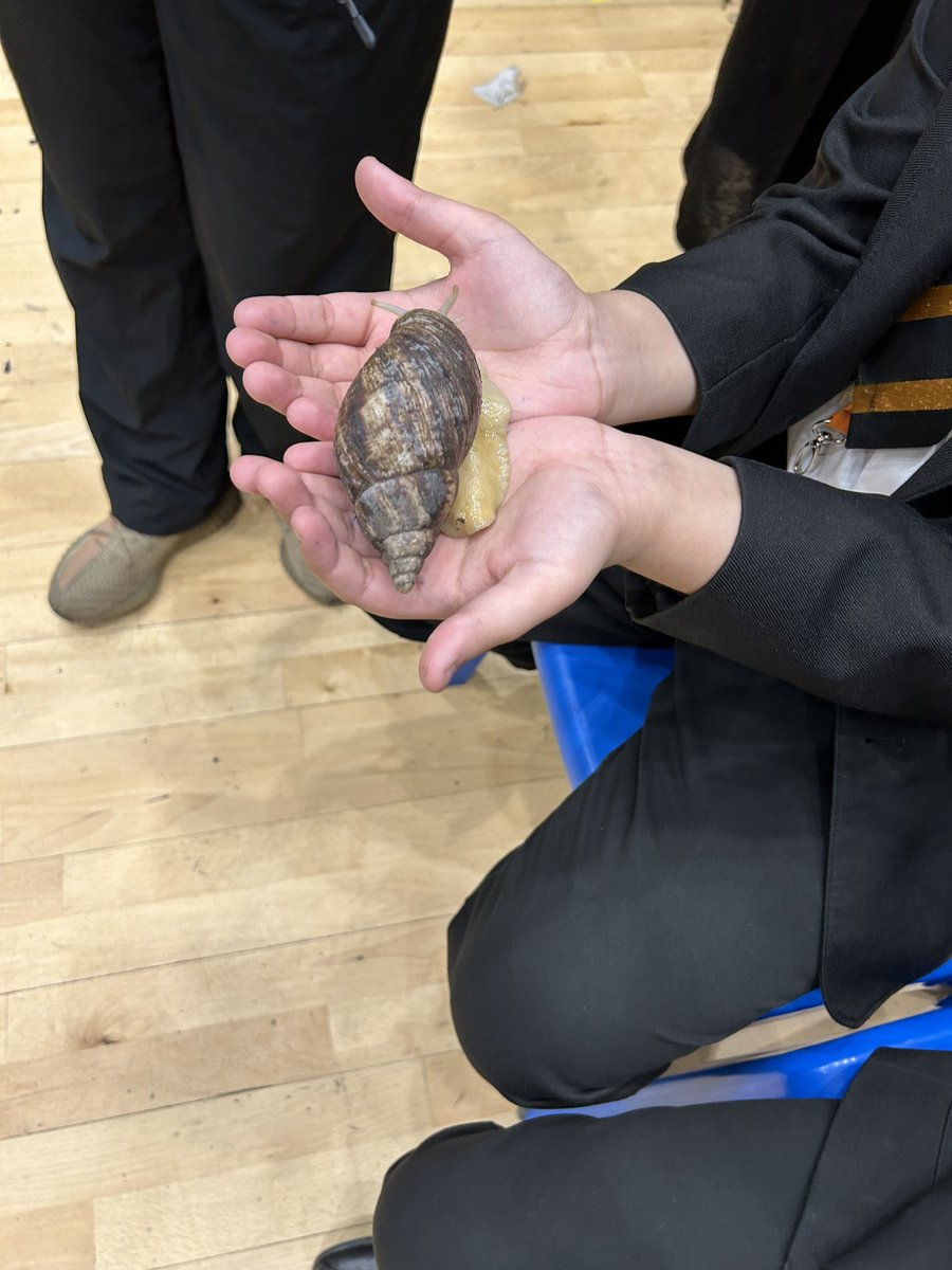 CarltonBolling's tweet photo. Thank you to @ZooLabUK for the brilliant and informative assembly today. The students and staff loved it #CurriculumScience #CarltonEdge💎 https://t.co/lvUjCmCS2d