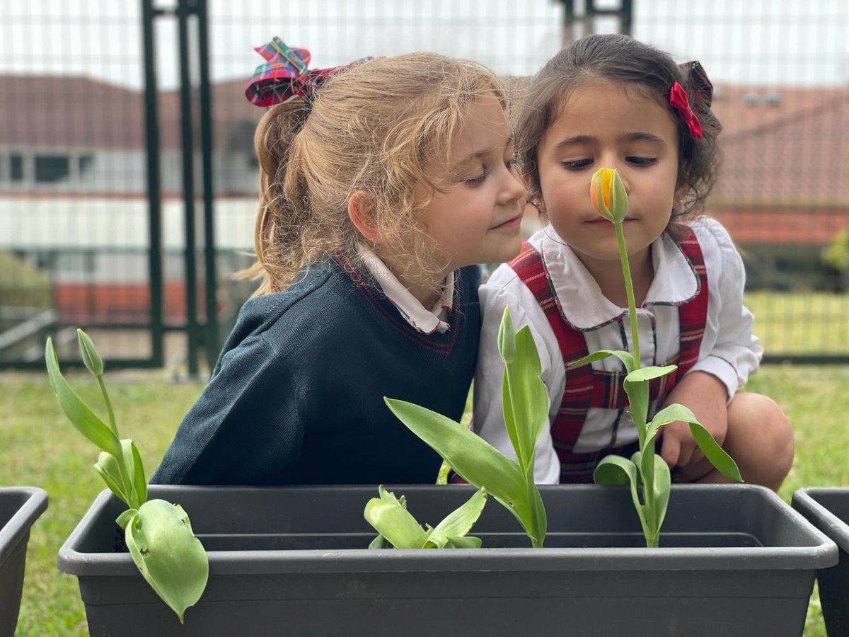 El primer tulipán de la temporada.
#belleza #DIY #satisfacción #tallereco #project #educaciónmedioambiental #educaciónenvalores #educaciónpersonalizada #colegioplurilingüelasacacias
