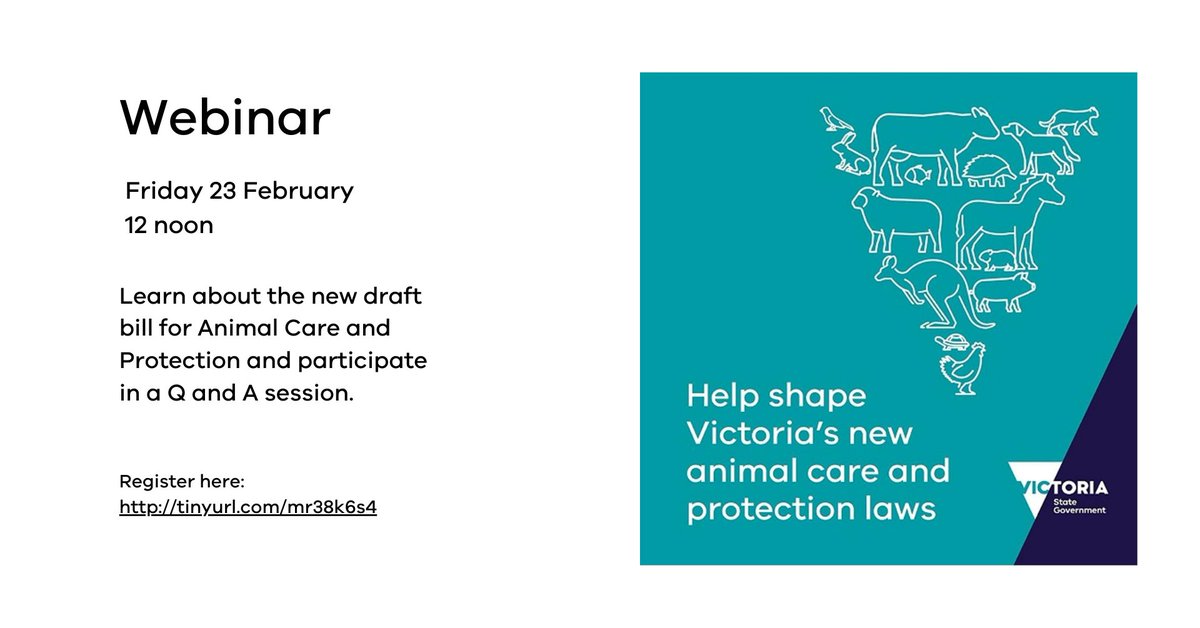 VicGovAg's tweet photo. #AgSector reminder: please join us tomorrow 23 Feb at noon for a webinar on the new draft bill for Animal Care and Protection followed by Q and A. Register here: https://t.co/O49etOESzI #POCTA #AnimalCare #Agriculture #AgTwitter #dairy #horse #sheep #beef #poultry @meatlivestock https://t.co/0ht6HzvphF
