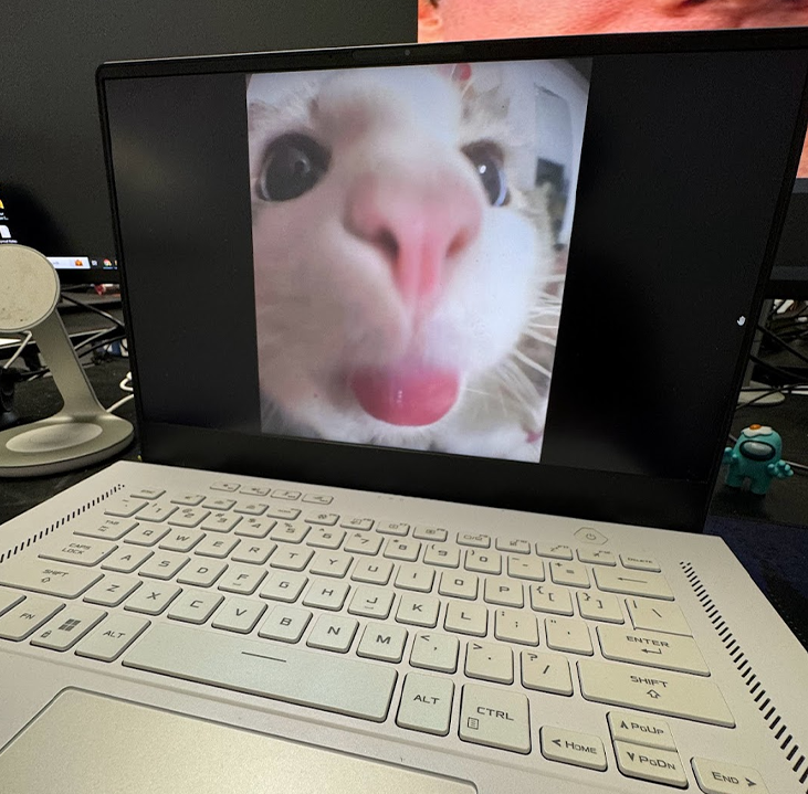 LinusTech's tweet photo. NO WAY https://t.co/x3yZ6AuK7Q