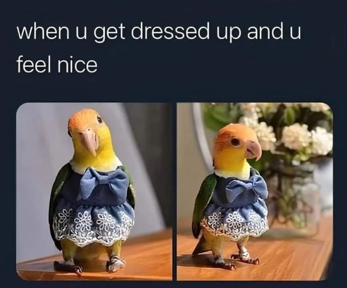 WholesomeMemes tweet media