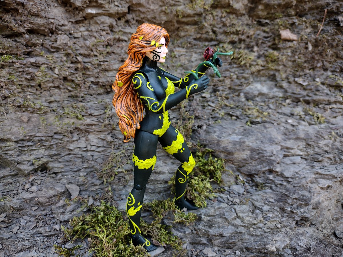 Poison Ivy's first rose of the year
#poisonivy #dc #dccollectibles #dccomics #dccomicssupervillains #toyphotography