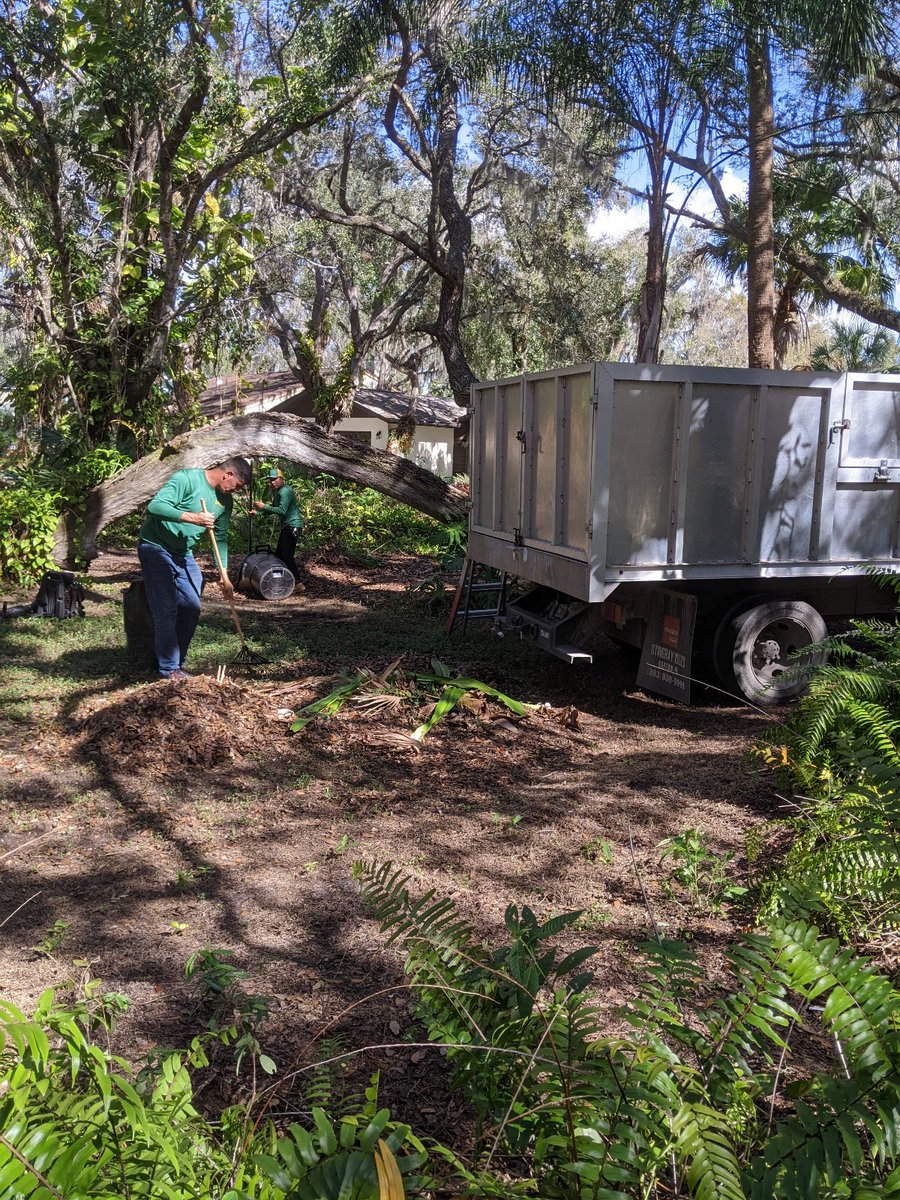 Leaves Everywhere! Contact us today to schedule a leaf cleanup!

#sarasotalawncare #sarasotalandscape #sarasotalandscaping #lawnmaintenance #mulch #sarasota #hedge #shrubs #grass #green #value #landscape #lawncare #lawn #lawnmowing #contracting #landscaping #landscapedesign