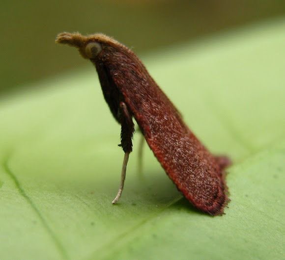 💖💫🐰🌸🐰💫💖 tweet media