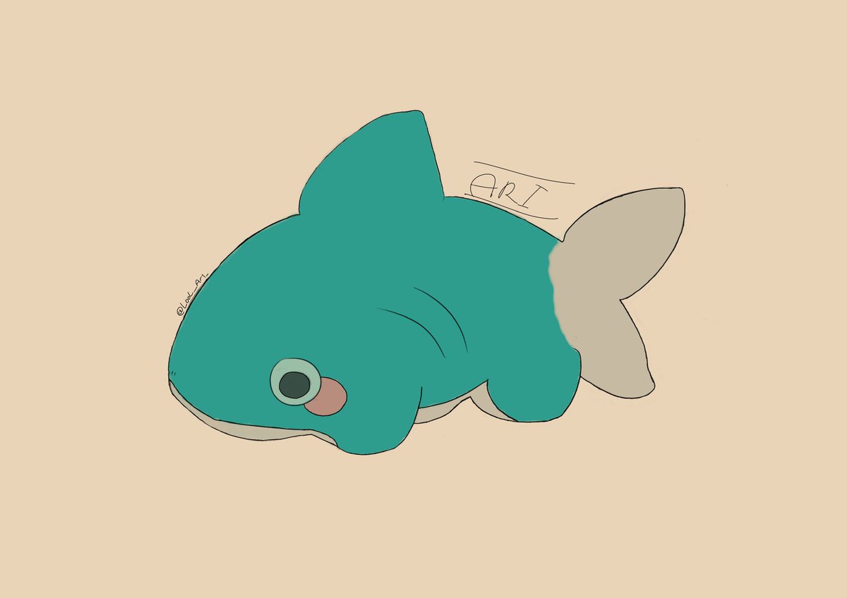 Little shork 🦈❤️