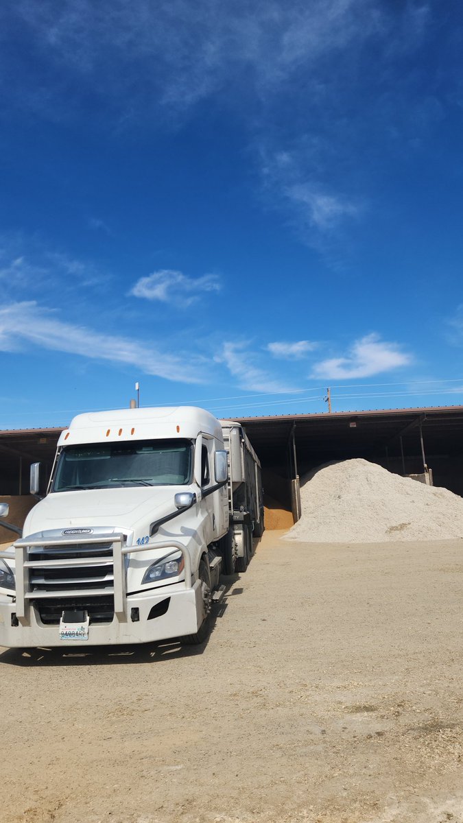 More dairy adventures 
#dairyfarms #Dairy 
#trucking #TruckersForTrump 
#cattlefeed #GodBlessAmerica