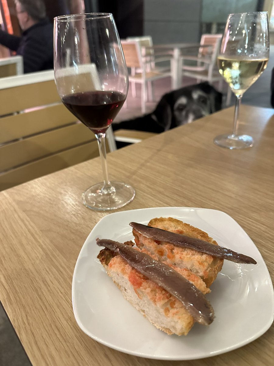 #laplaceta_jsubirats#tortosa#anxoes#paambtomaquet#catalunya#catalonia#bar#😉fins i tot al Whisky li agraden les anxoes  amb pa torrat i toma a la @laplaceta_jsubirats 😍😍😍😋😋😋