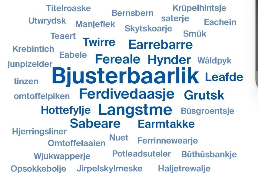 Favorite Fryske wurden 📜 omropfryslan.nl/fy/nijs/162974… #Frysk #Twirre