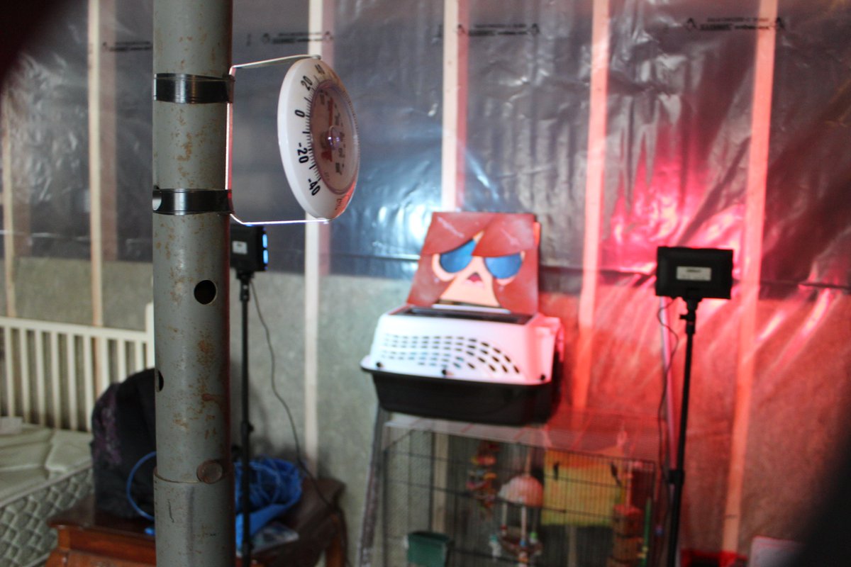 meganheartz5's tweet image. Trying out a new style of #YouTubethumbnaildesign #YouTube  that&apos;s tons of fun [for me] Where I paint, light then take a photo of the image.

This is for my next video which should be out before June [hopefully..]