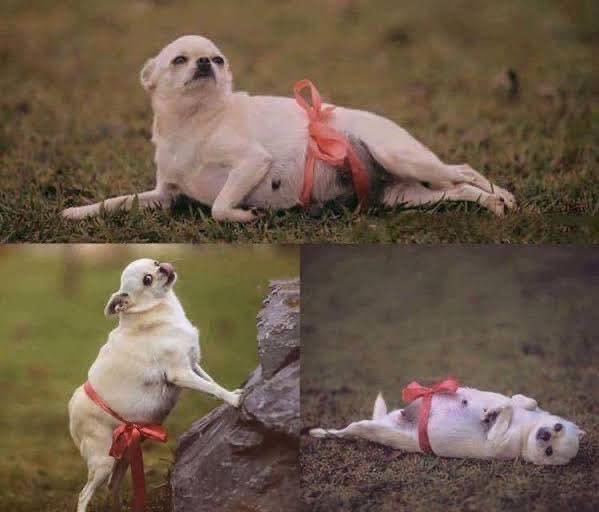 juanferlara's tweet image. Deja de subir fotos por unos meses…
De repente: