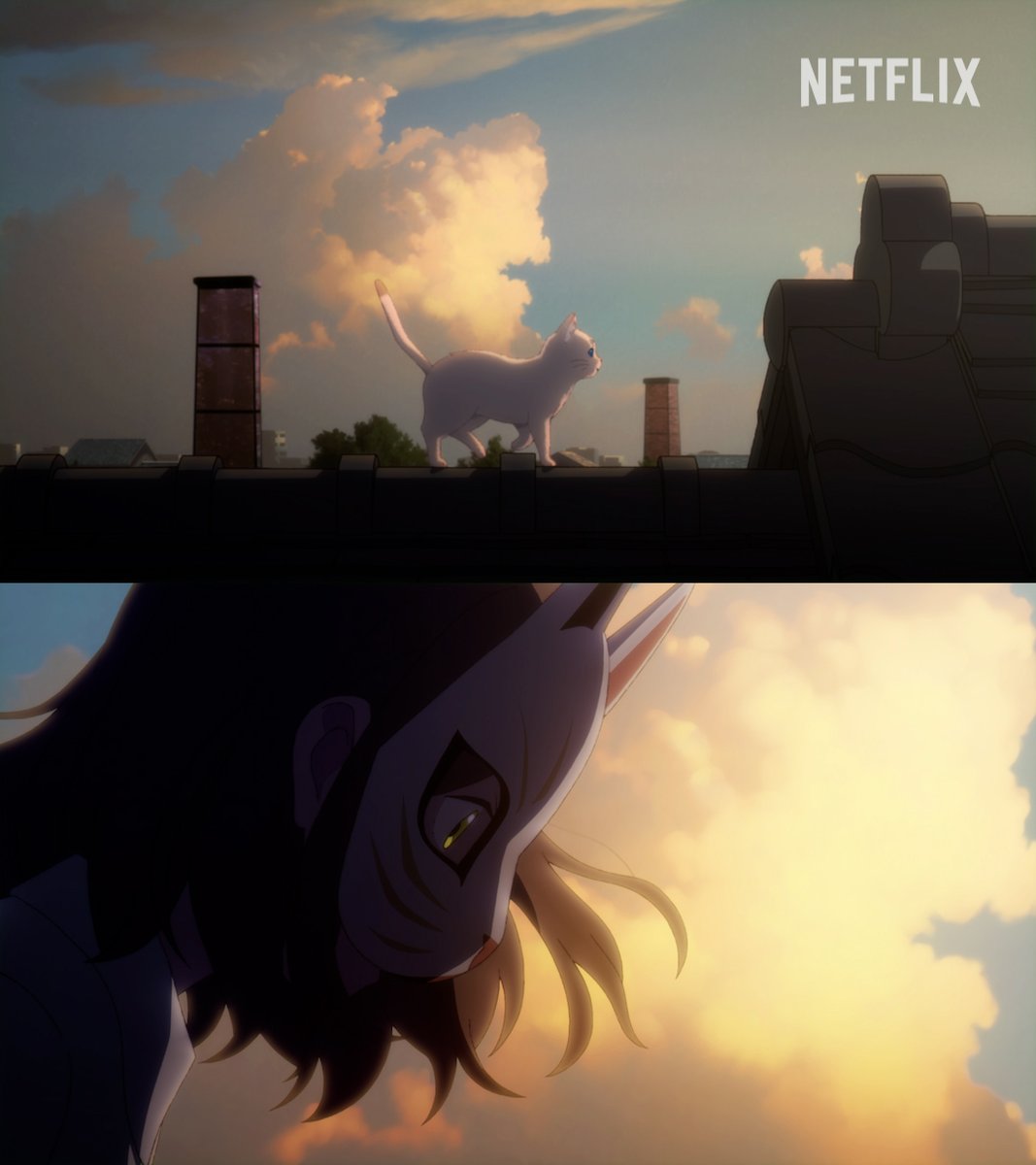 NetflixJP_Anime's tweet photo. 2月22日は #猫の日🐈🐾
#スタジオコロリド 制作『#泣きたい私は猫をかぶる』
かわいくて不思議な猫たちと冒険してみない?✨
📺: https://t.co/LbrOG5B91f
#泣き猫 #StudioColorido https://t.co/RdVjSxSMiv