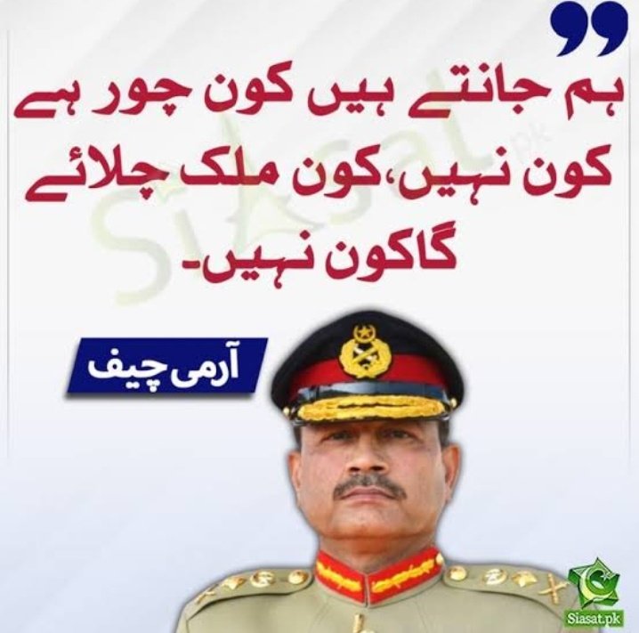 شاعر بتا رہا ہے چور ہی مُلک چلائیں گے 😁
