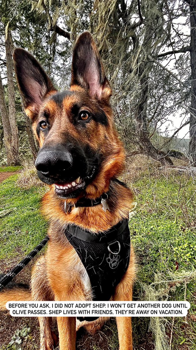 Michelle Lu 🫐 tweet media