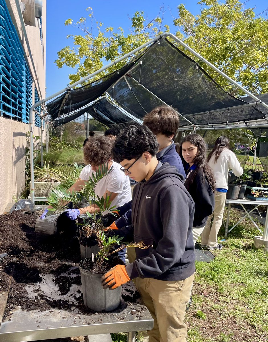 Andrew Kearns tweet media