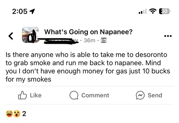 the napanee facebook group always delivers